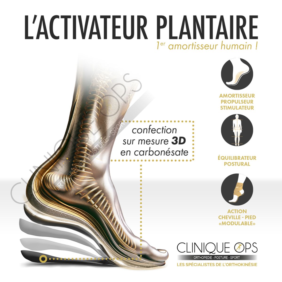 9 OPS-SemellesKinepod